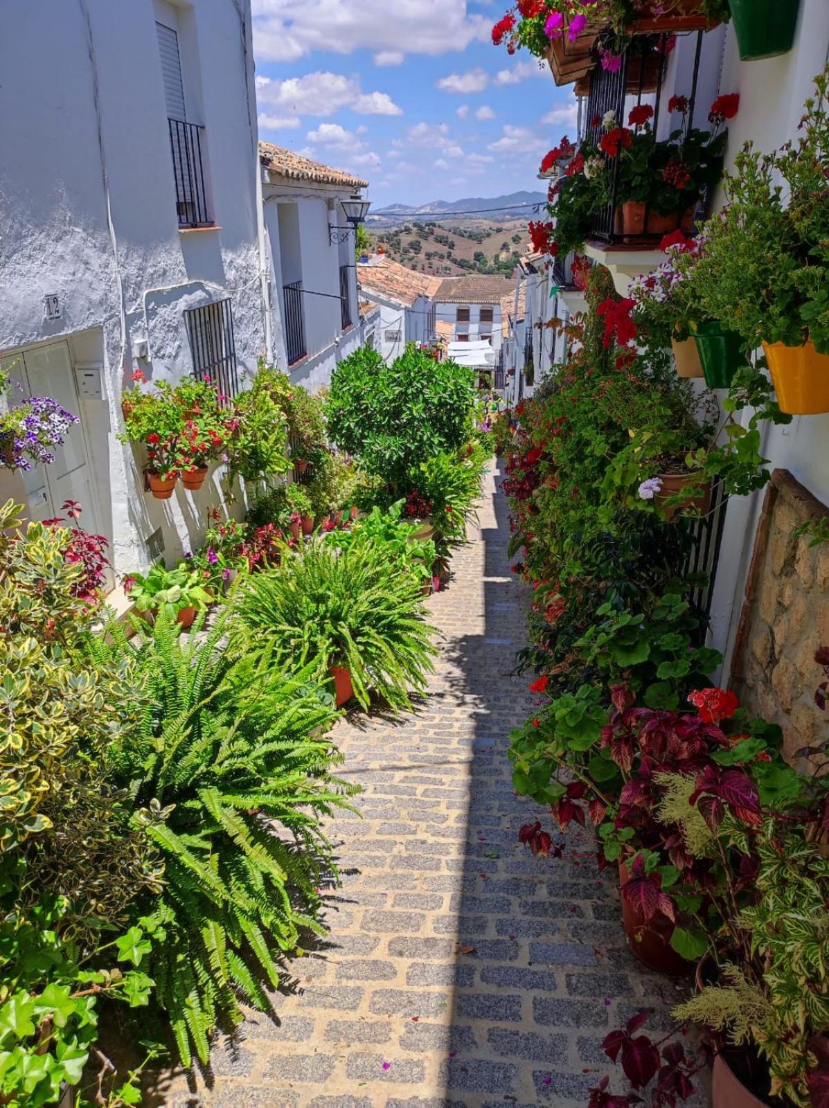 Villa Isabel El Gastor Exteriér fotografie